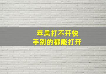 苹果打不开快手别的都能打开