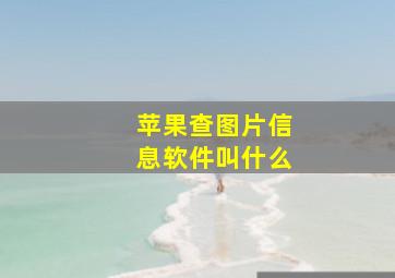 苹果查图片信息软件叫什么