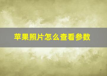 苹果照片怎么查看参数