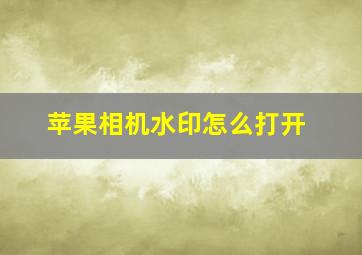 苹果相机水印怎么打开