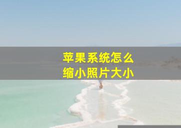 苹果系统怎么缩小照片大小