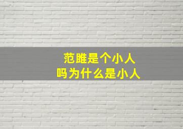 范雎是个小人吗为什么是小人