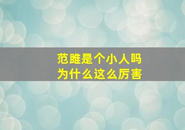 范雎是个小人吗为什么这么厉害