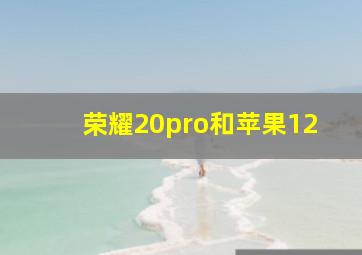 荣耀20pro和苹果12