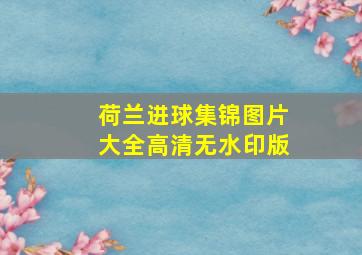 荷兰进球集锦图片大全高清无水印版