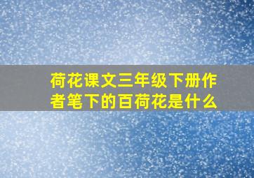 荷花课文三年级下册作者笔下的百荷花是什么