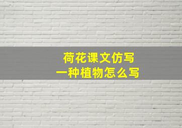 荷花课文仿写一种植物怎么写