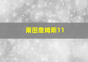 莆田詹姆斯11