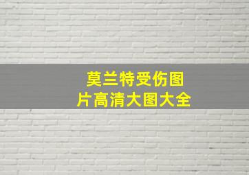 莫兰特受伤图片高清大图大全