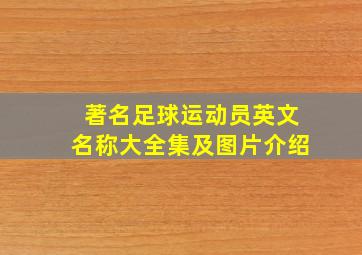 著名足球运动员英文名称大全集及图片介绍