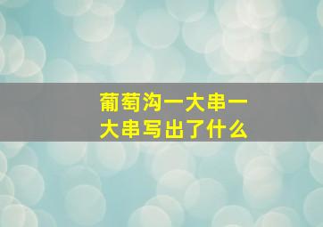 葡萄沟一大串一大串写出了什么