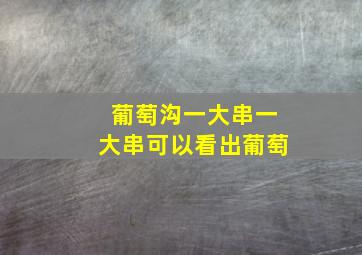 葡萄沟一大串一大串可以看出葡萄