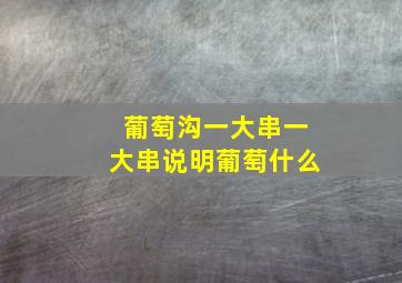 葡萄沟一大串一大串说明葡萄什么