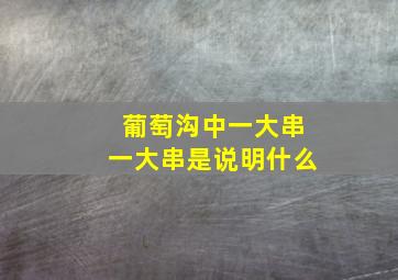 葡萄沟中一大串一大串是说明什么