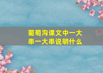 葡萄沟课文中一大串一大串说明什么