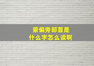 蒙偏旁部首是什么字怎么读啊