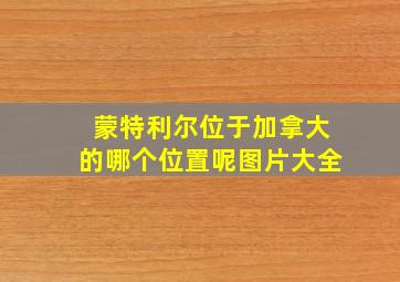 蒙特利尔位于加拿大的哪个位置呢图片大全