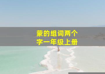 蒙的组词两个字一年级上册