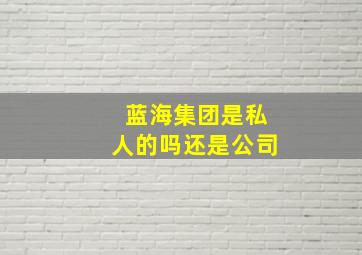 蓝海集团是私人的吗还是公司