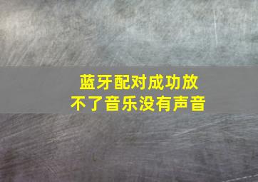 蓝牙配对成功放不了音乐没有声音