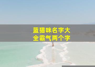 蓝猫咪名字大全霸气两个字