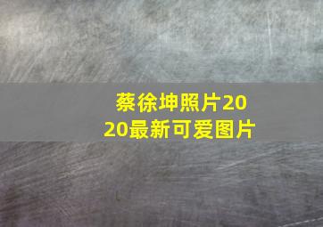 蔡徐坤照片2020最新可爱图片