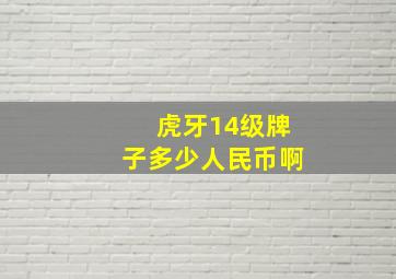 虎牙14级牌子多少人民币啊