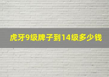 虎牙9级牌子到14级多少钱