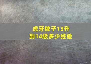 虎牙牌子13升到14级多少经验