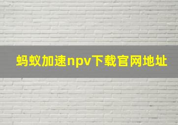 蚂蚁加速npv下载官网地址