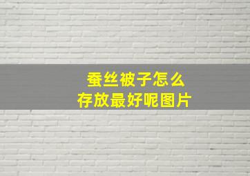 蚕丝被子怎么存放最好呢图片