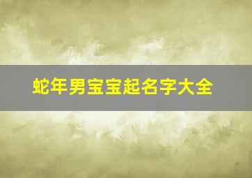 蛇年男宝宝起名字大全