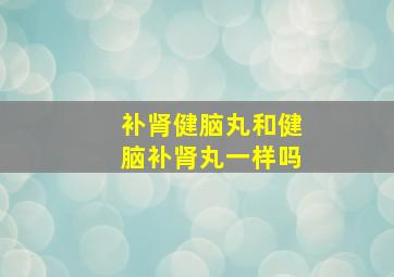 补肾健脑丸和健脑补肾丸一样吗