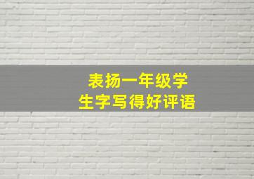 表扬一年级学生字写得好评语