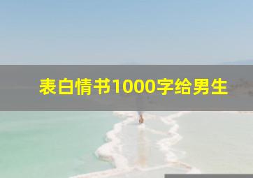 表白情书1000字给男生