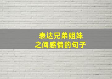 表达兄弟姐妹之间感情的句子