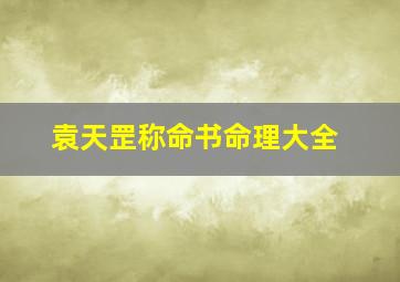 袁天罡称命书命理大全