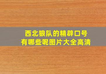 西北狼队的精辟口号有哪些呢图片大全高清