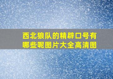 西北狼队的精辟口号有哪些呢图片大全高清图