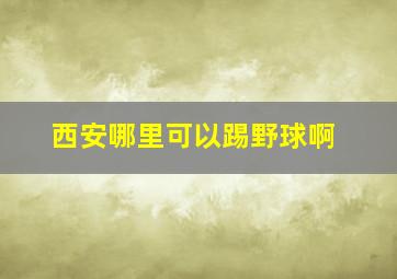 西安哪里可以踢野球啊