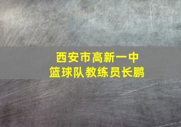 西安市高新一中篮球队教练员长鹏