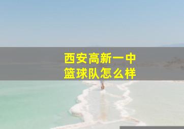 西安高新一中篮球队怎么样