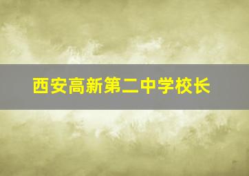 西安高新第二中学校长