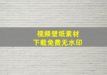 视频壁纸素材下载免费无水印