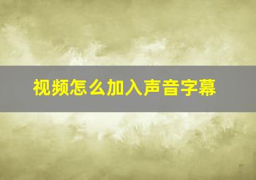 视频怎么加入声音字幕