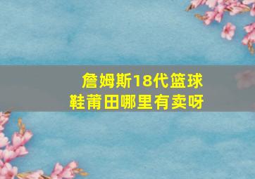 詹姆斯18代篮球鞋莆田哪里有卖呀