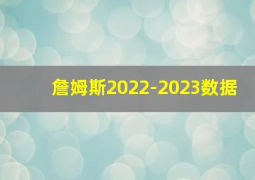 詹姆斯2022-2023数据