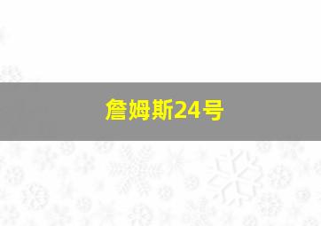 詹姆斯24号