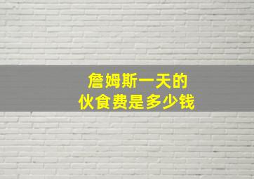 詹姆斯一天的伙食费是多少钱