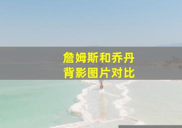 詹姆斯和乔丹背影图片对比